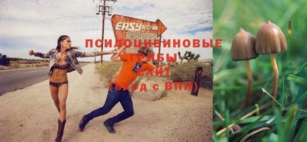 спайс Абдулино