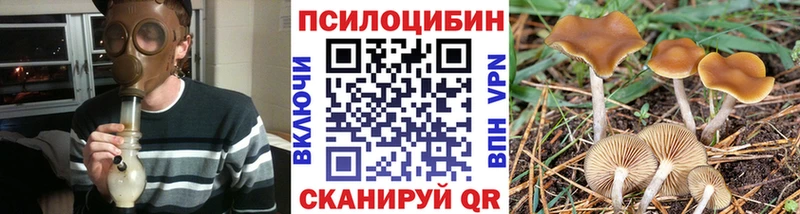 omg сайт где можно купить наркотик Шиханы Псилоцибиновые грибы MAGIC MUSHROOMS